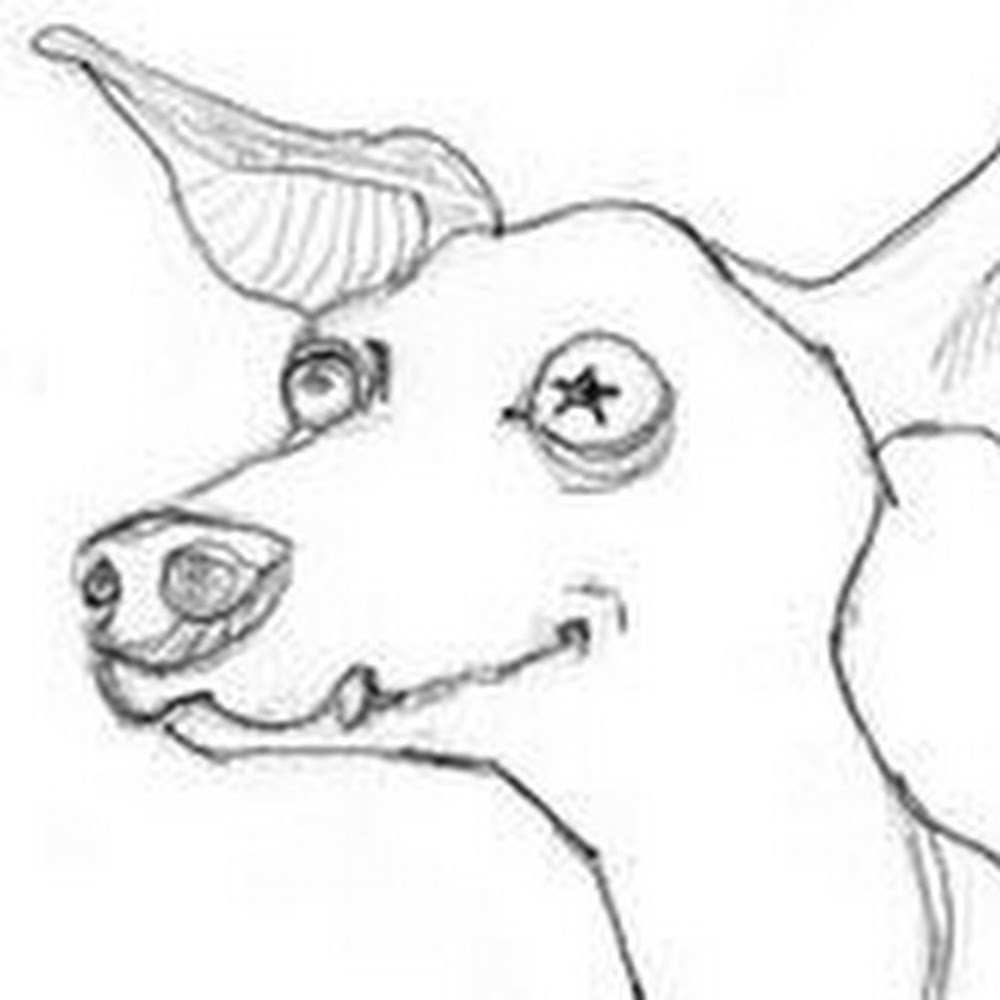 Meet your Posher, Lynda